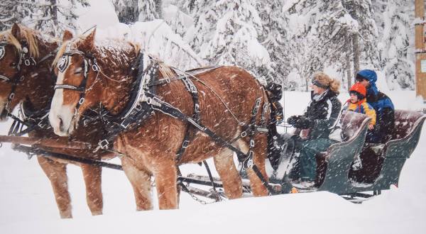 This 25-Minute Oregon Sleigh Ride Takes You Through A Winter Wonderland