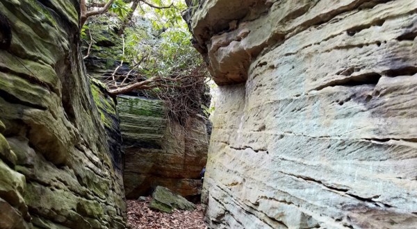Hike Through West Virginia’s Rock Maze For An Adventure Like No Other
