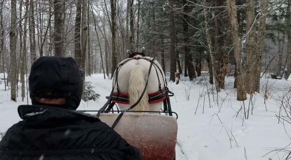 This Wondrous Sleigh Ride In Vermont Is A Winter Dream Come True