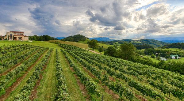 6 Tennessee Wine Trails Everyone Should Take At Least Once