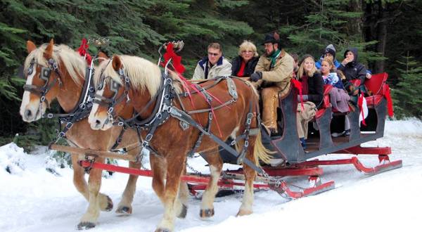 This 45-Minute Northern California Sleigh Ride Takes You Through A Winter Wonderland