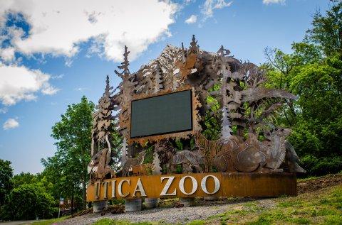 This Zoo In New York Has Animals That You May Have Never Seen In Person Before