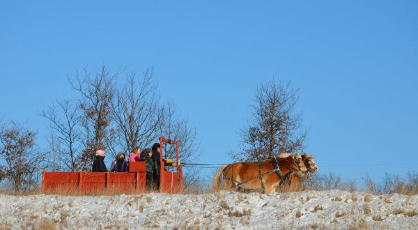Enjoy A 90-Minute Sleigh Ride Through A Winter Wonderland At Twin Lakes In Wisconsin