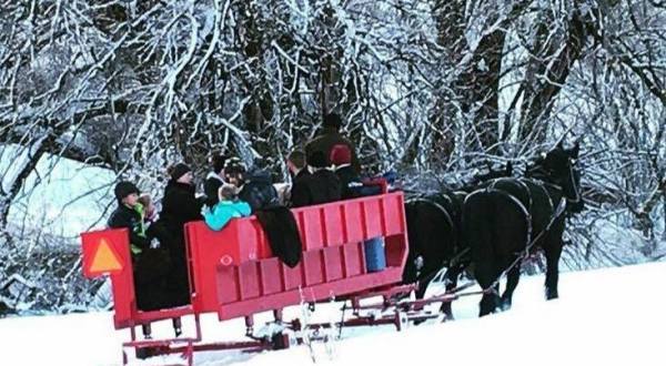 This Wondrous Sleigh Ride In Utah Is A Winter Dream Come True