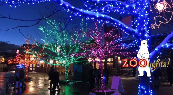 This Utah Zoo Has One Of The Most Spectacular Christmas Light Displays You’ve Ever Seen