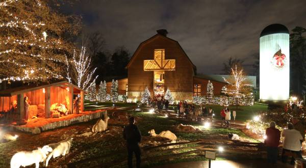 This Christmas Nativity Petting Zoo In North Carolina Will Make Your Season Complete