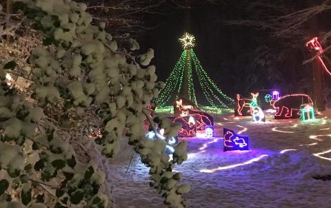 Nothing Beats A Stroll Through The Quirkiest Christmas Display In Maryland