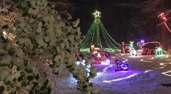 Nothing Beats A Stroll Through The Quirkiest Christmas Display In Maryland