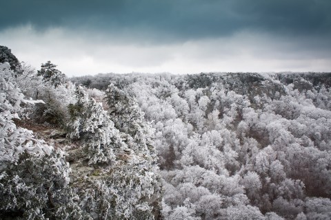 The Single Largest Snowfall in Arkansas Happened in 2011