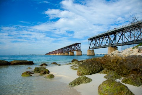 The Magnificent Bridge Trail In Florida That Will Lead You To A Hidden Overlook