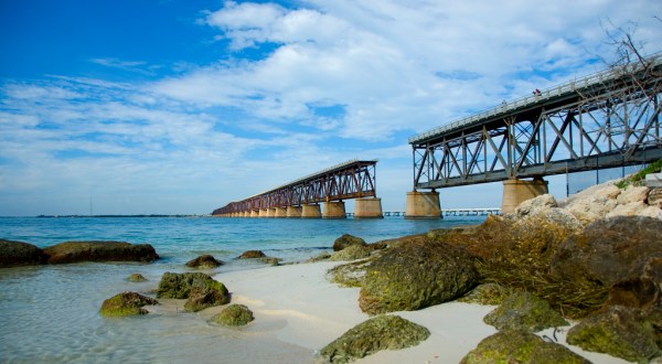 The Magnificent Bridge Trail In Florida That Will Lead You To A Hidden Overlook