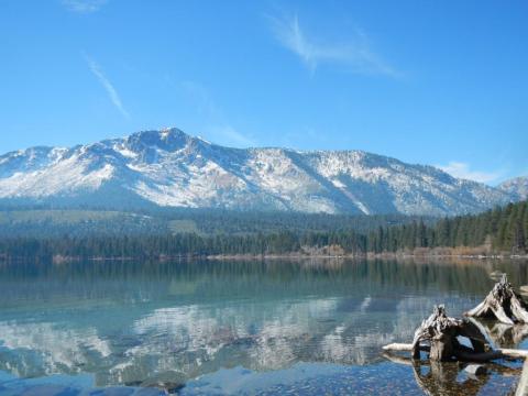 Few People Know There's An Ancient Forest Hiding At The Bottom Of This Lake In Northern California