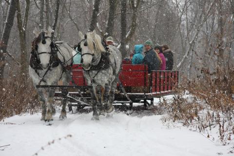 Enjoy A 20-Minute Sleigh Ride Through A Winter Wonderland In DuPage County In Illinois