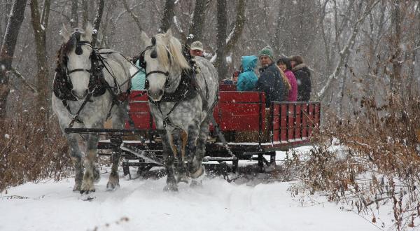 Enjoy A 20-Minute Sleigh Ride Through A Winter Wonderland In DuPage County In Illinois