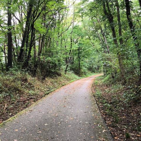 This Year-Round Greenway In Indiana Is The Best Nature Trail In The State
