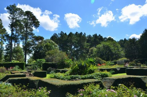 Spend A Perfect Spring Day In South Carolina's Most Beautiful Botanical Garden