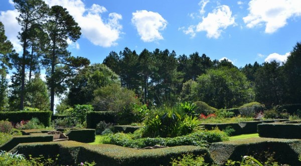 Spend A Perfect Spring Day In South Carolina’s Most Beautiful Botanical Garden