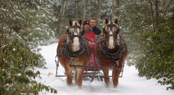 Enjoy A 30-Minute Sleigh Ride Through A Winter Wonderland At Cornerstone Ranch In Massachusetts