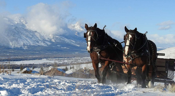 This Wondrous Sleigh Ride In Wyoming Is A Winter Dream Come True