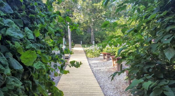 This Massachusetts Park Has A Dreamy Boardwalk That You’ll Want To Explore