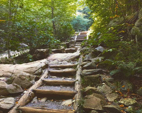 The Virginia Hike That Leads To The Most Unforgettable Destination