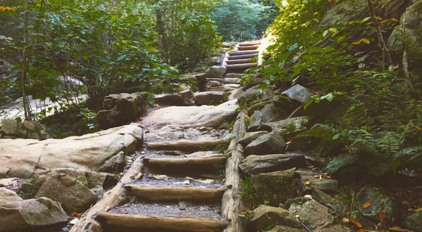 The Virginia Hike That Leads To The Most Unforgettable Destination