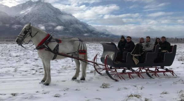 This 60-Minute Alaska Sleigh Ride Takes You Through A Winter Wonderland