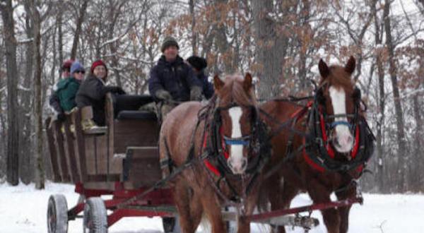 Enjoy A 60-Minute Sleigh Ride Through A Winter Wonderland At Cyclin-Inn In Minnesota