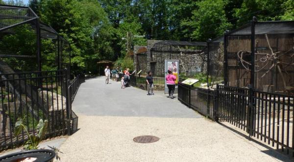 This Zoo In Delaware Has Animals That You May Have Never Seen In Person Before