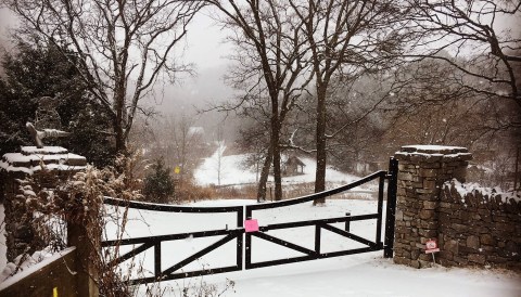 This Hot Cocoa Hike In Nashville Is The Winter Adventure You Need