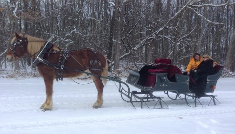 Enjoy A 45-Minute Maryland Sleigh Ride With Pleasant Valley Dream Rides This Winter