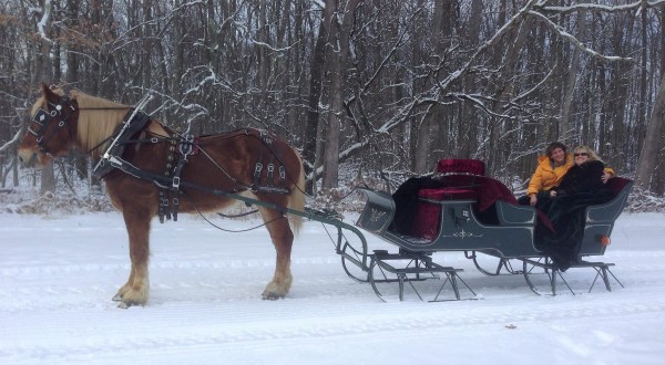 Enjoy A 45-Minute Maryland Sleigh Ride With Pleasant Valley Dream Rides This Winter