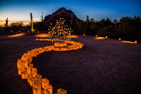 Every December, Over 8,000 Paper Lanterns Set This Arizona Garden Aglow