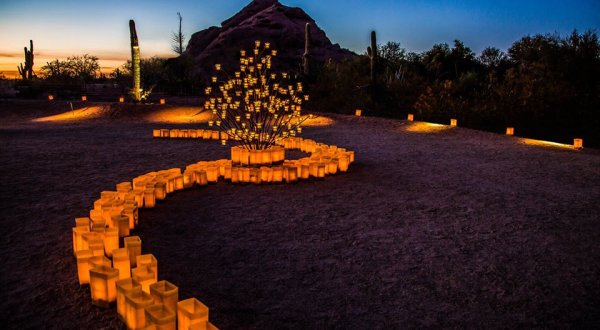 Every December, Over 8,000 Paper Lanterns Set This Arizona Garden Aglow