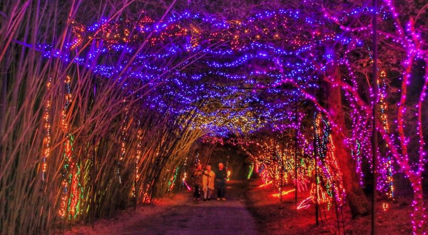 Nothing Beats A Stroll Through This Alabama Garden At Christmastime