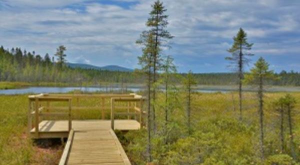 Vermont’s Newest Boardwalk Leads To A Little Slice Of Heaven