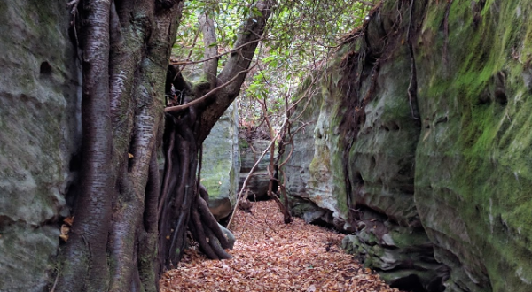 Hike Through Maryland’s Rock Maze For An Adventure Like No Other