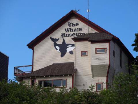 Most Washingtonians Have Never Heard Of This Fascinating Whale Museum