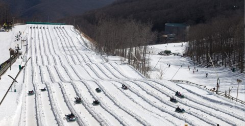 The Country's Best Snow Tubing Park In Virginia Is Wintergreen Resort And It's A Blast To Visit