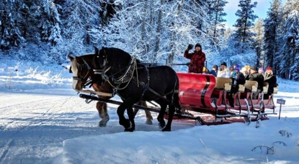 Enjoy A Sleigh Ride Through A Winter Wonderland At Mountain Springs Lodge In Washington