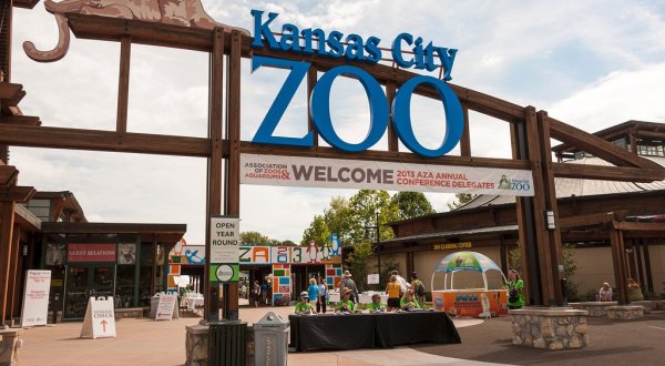 This Zoo In Missouri Has Animals That You May Have Never Seen In Person Before