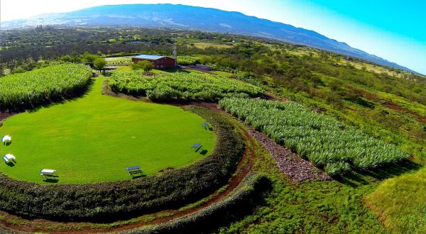 The Distillery Farm Tour In Hawaii That Is Unlike Anything In The Entire World
