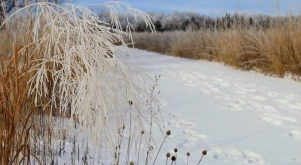5 Picturesque Trails In South Dakota That Are Perfect For Winter Hiking