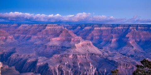 5 Things Everyone Should Know Before Traveling To The Grand Canyon