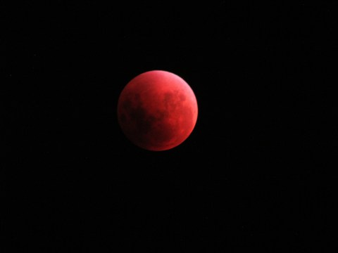 The Next Lunar Eclipse Will Be Visible From North Carolina And You Won't Want To Miss Out