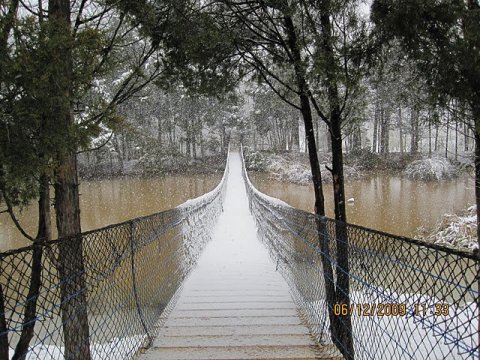 Virginia's Upside Down Swinging Bridge Is An Adventure That Everyone Will Love