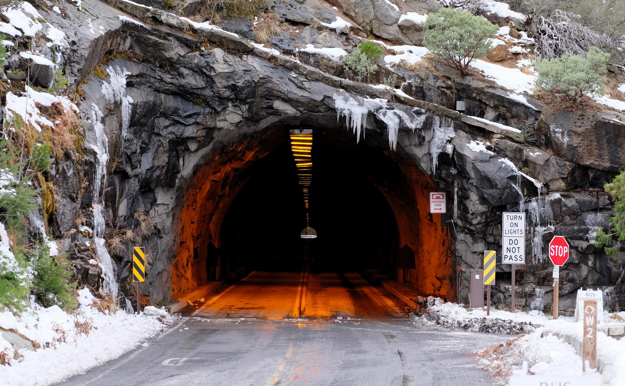 These Beautiful Tunnels Have Fascinating Backstories