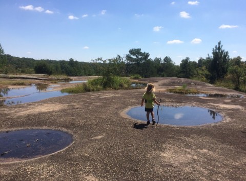 7 Totally Kid-Friendly Hikes In South Carolina That Are 1 Mile And Under