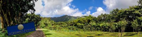 Visit One Of The Country's Only Cacao Farms On This Sweet Tour In Hawaii