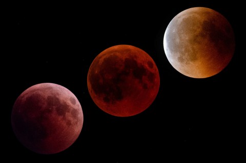 The Next Lunar Eclipse Will Be Visible From Buffalo And You Won't Want To Miss Out